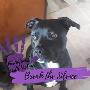 Meet your Posher, Jodie